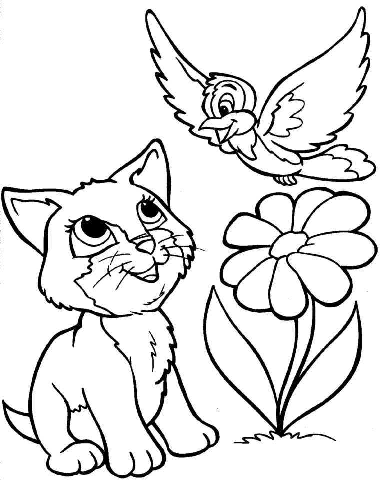 Coloring Book Cat