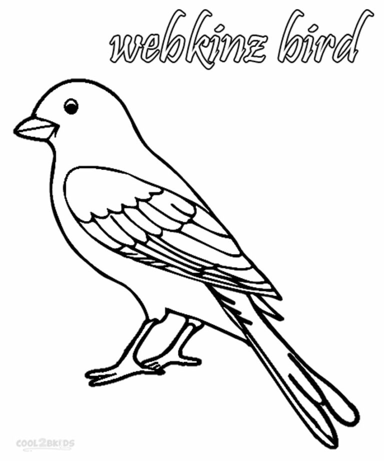 Coloring Book Birds