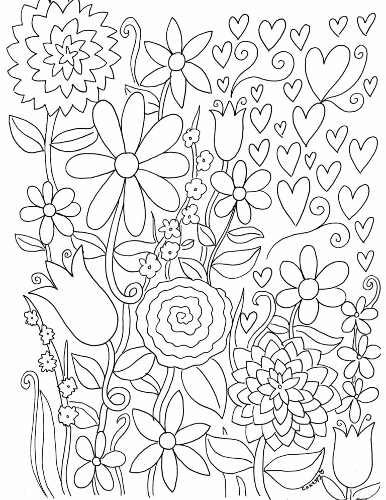 Coloring Book Illustrator