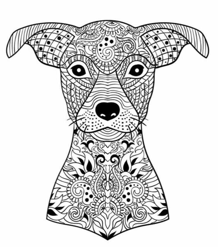 Coloring Book Dog