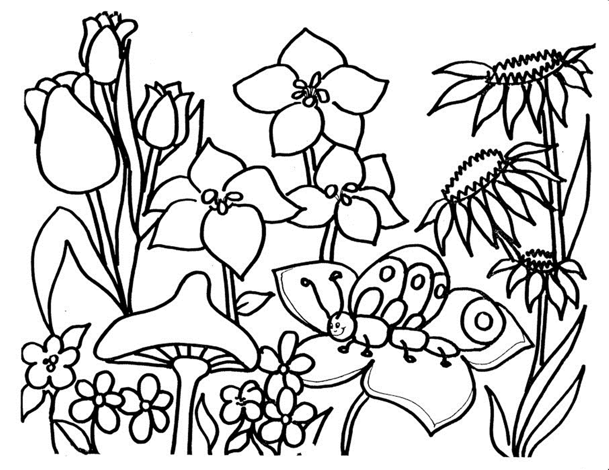 Red Poppy Coloring Page